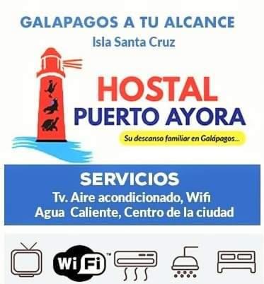 ホテル Puerto Ayora Island エクステリア 写真
